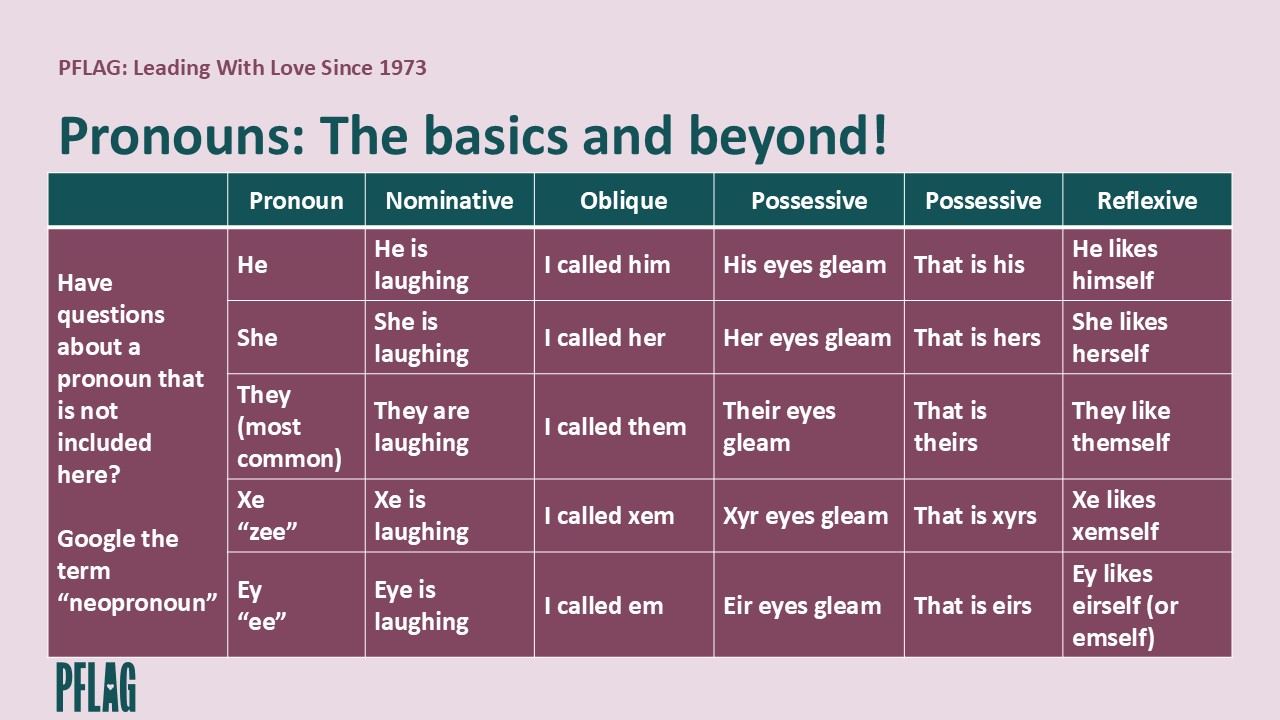 Text at the top says, "Pronouns: the basics and beyond!" the graphic has a table of different pronouns (he, she, they, xe, and ze) and the grammar rules for each.