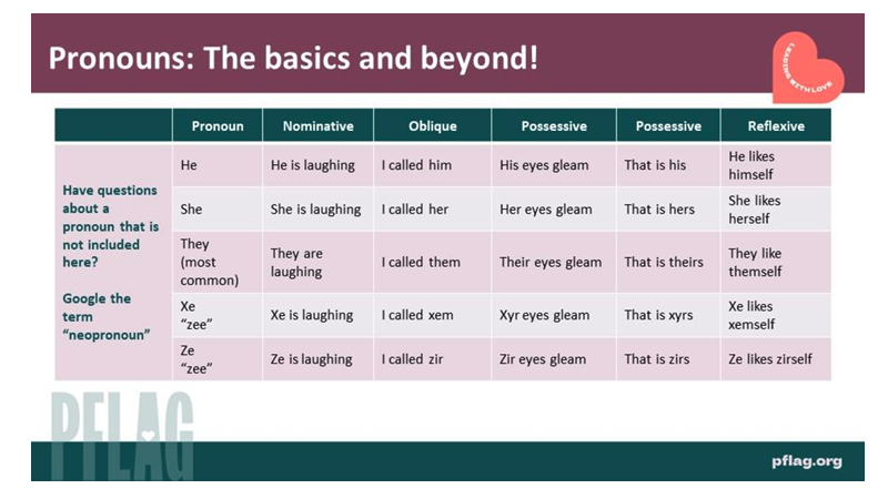 Text at the top says, "Pronouns: the basics and beyond!" the graphic has a table of different pronouns (he, she, they, xe, and ze) and the grammar rules for each.